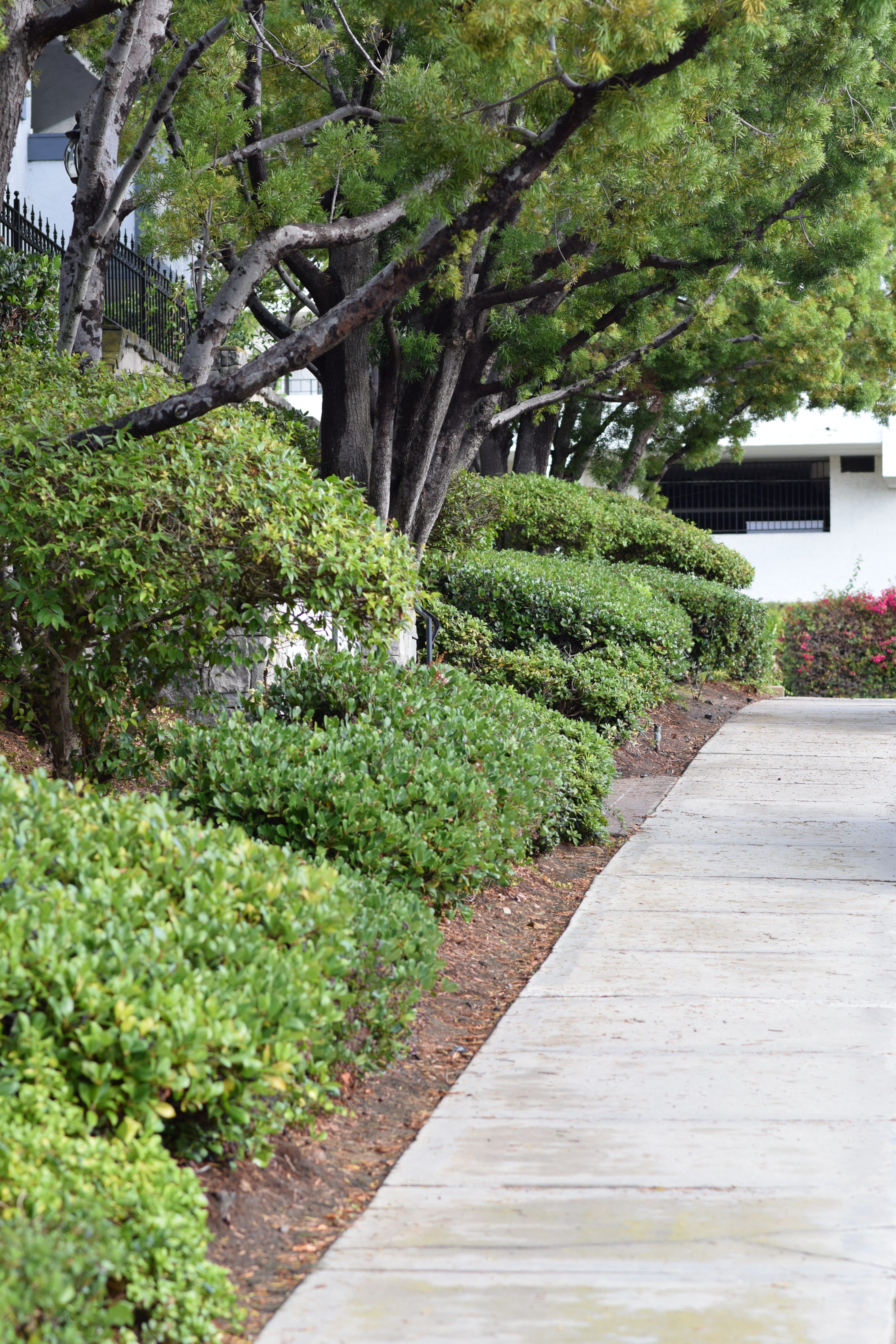 How to Run an HOA Properly: Don’t Waste Resources